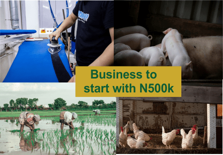 business to start with N500k